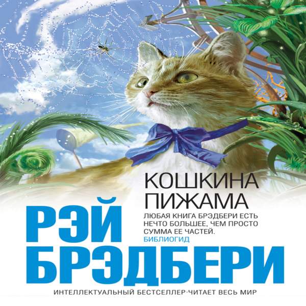 Кошкина пижама. Рэй Брэдбери "Кошкина пижама". Кошкина пижама Рэй Брэдбери книга. Брэдбери Кошкина пижама. Кошкина пижама рассказы сборник Рэй Брэдбери.