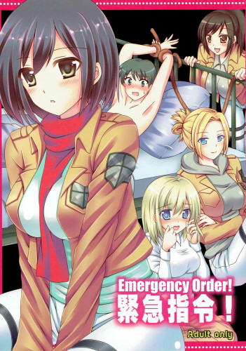Kinkyuu Shirei! Emergency Order! Hentai Comic