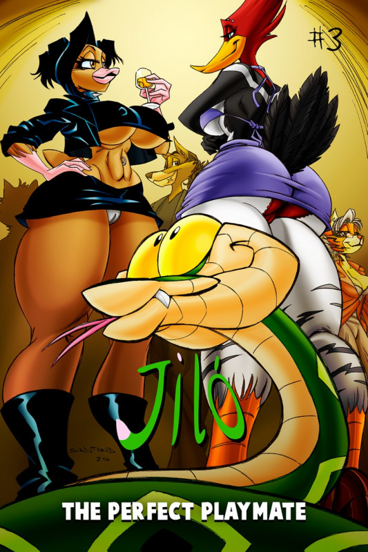 Jilo - The Perfect Playmate 3 Porn Comics
