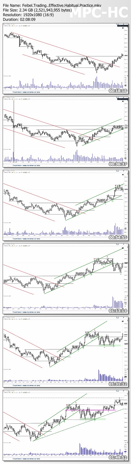 Feibel Trading - Effective Habitual Practice 2021