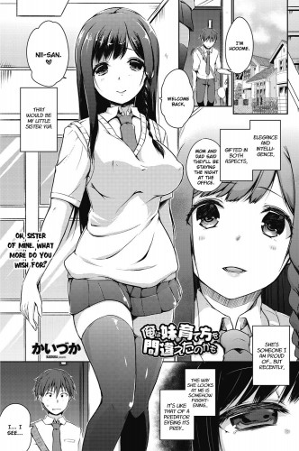I Might Have Made a Mistake With How I Raised My Little Sister Hentai Comic