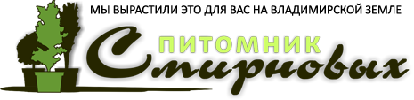 Вишня морозовка. Вишня обыкновенная харитоновская. Черешня дайбера чёрная. Питомник суходол. Владимирский питомник саженцев.